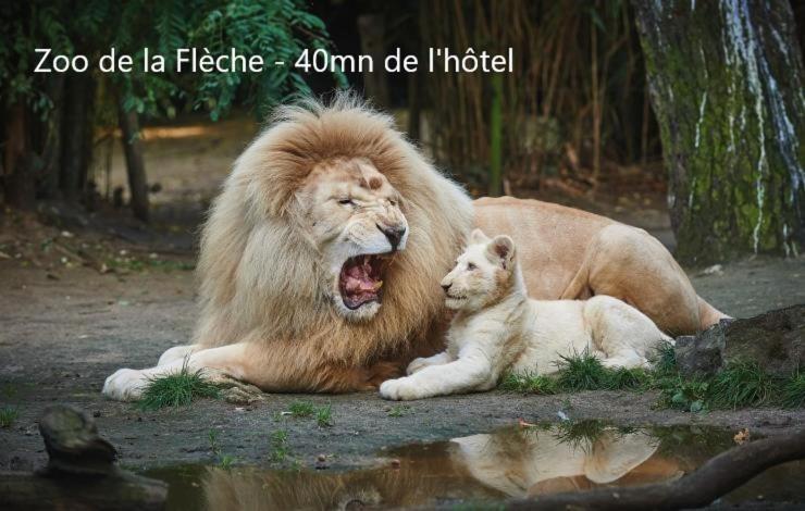 Hotel-Restaurant Ricordeau Loué Kültér fotó